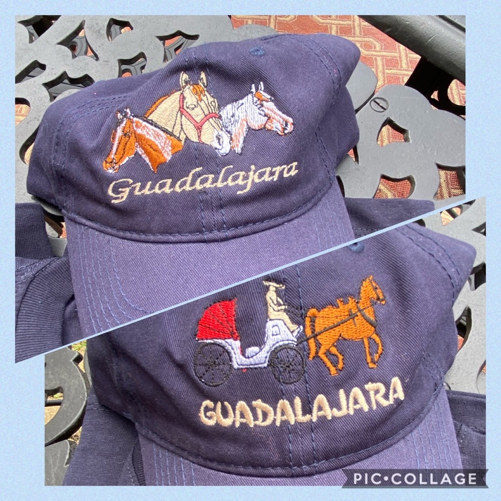 HP 🎉NWT Artisanal Horses embroidered Hat/cap